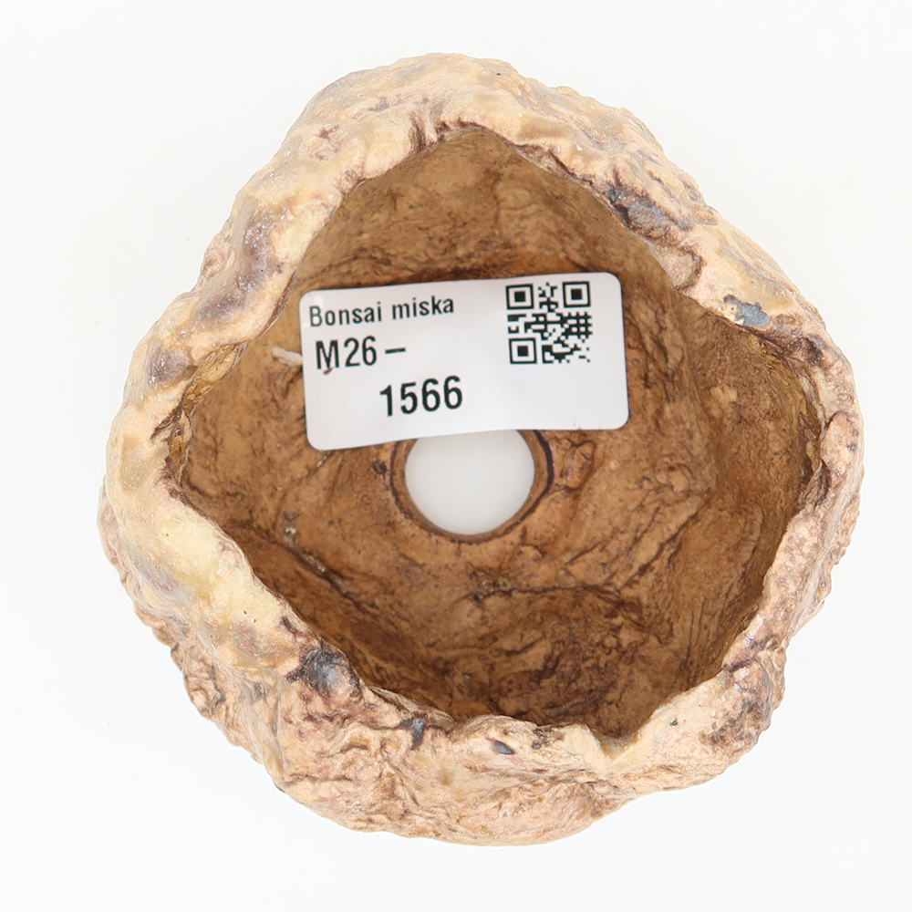 Guscio in ceramica  6 x 5,5 x 6 cm, colore marrone