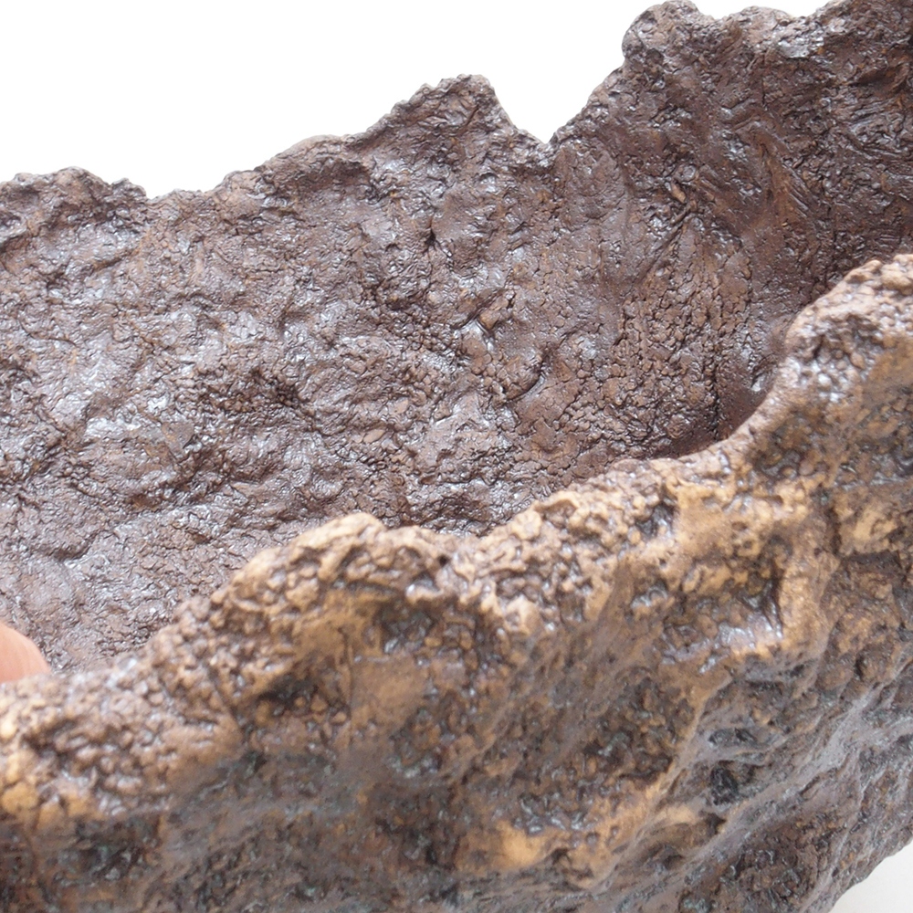 Conchiglia in ceramica 24 x 21,5 x 22 cm , colore marrone