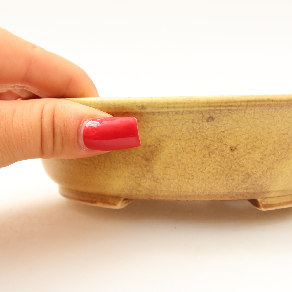 Vaso da bonsai in ceramica 15,5 x 14,5 x 4 cm, colore giallo