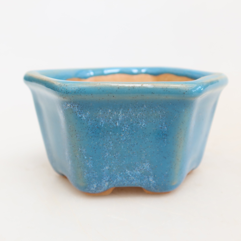 Ciotola per bonsai in ceramica 7,5 x 7 x 4 cm, colore blu
