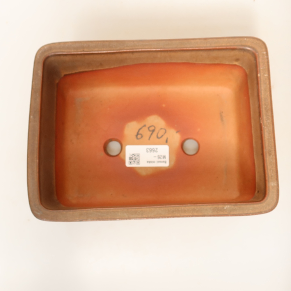 Guscio in ceramica  19,5 x 15 x 8,5 cm, colore marrone
