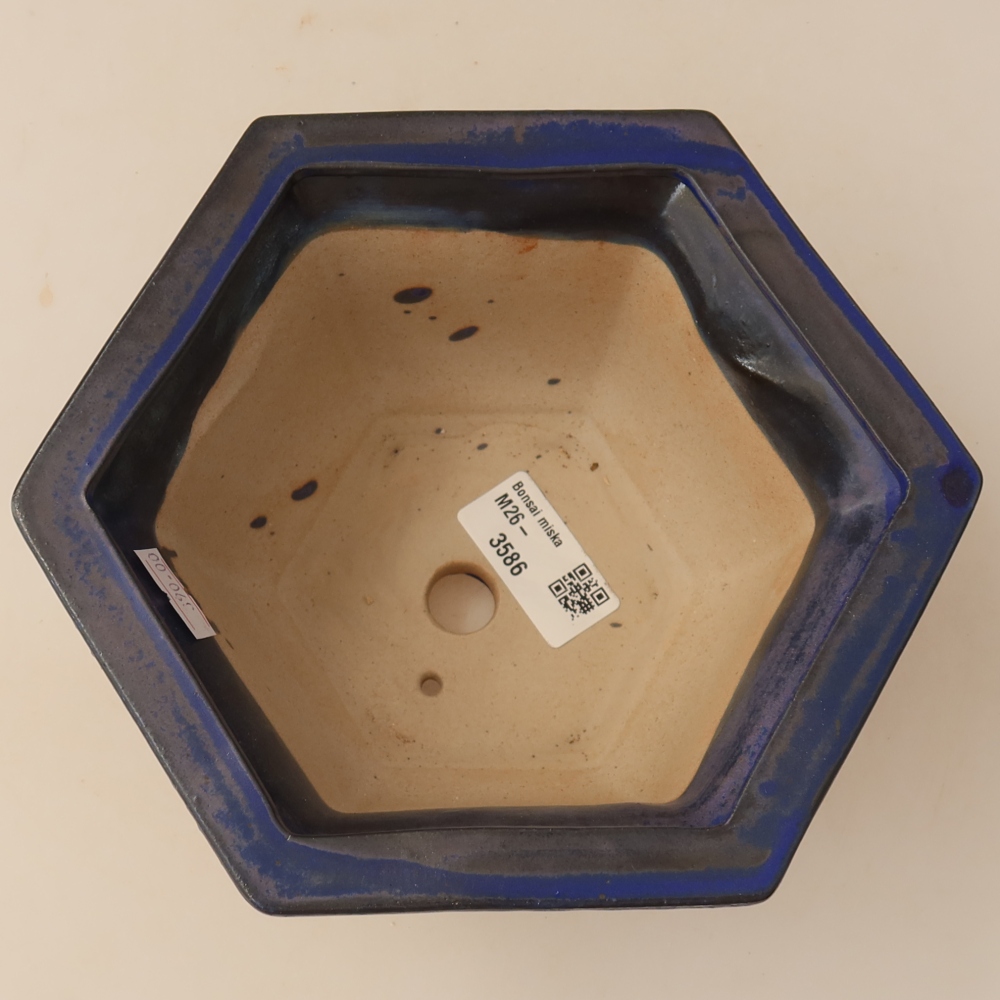 Ciotola bonsai in ceramica 18,5 x 16,5 x 9 cm, colore blu