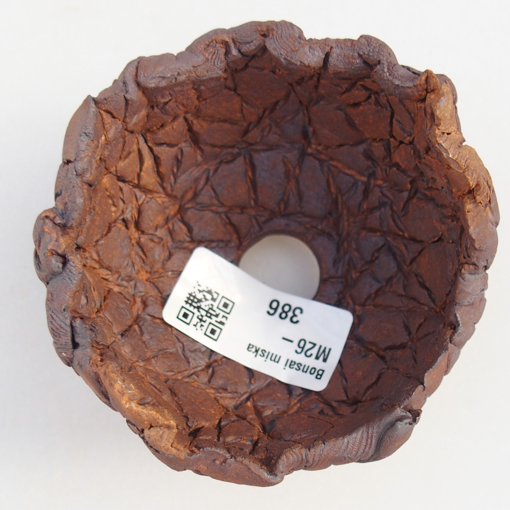 Conchiglia in ceramica 8,5 x 8 x 6 cm , colore marrone