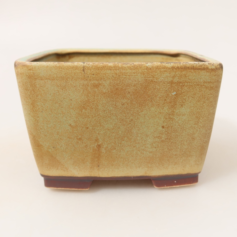 Ciotola bonsai in ceramica 13 x 13 x 8 cm, verde