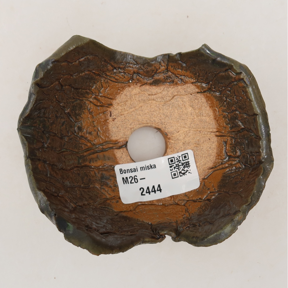 Guscio in ceramica  10,5 x 8,5 x 6 cm, colore verde-marrone