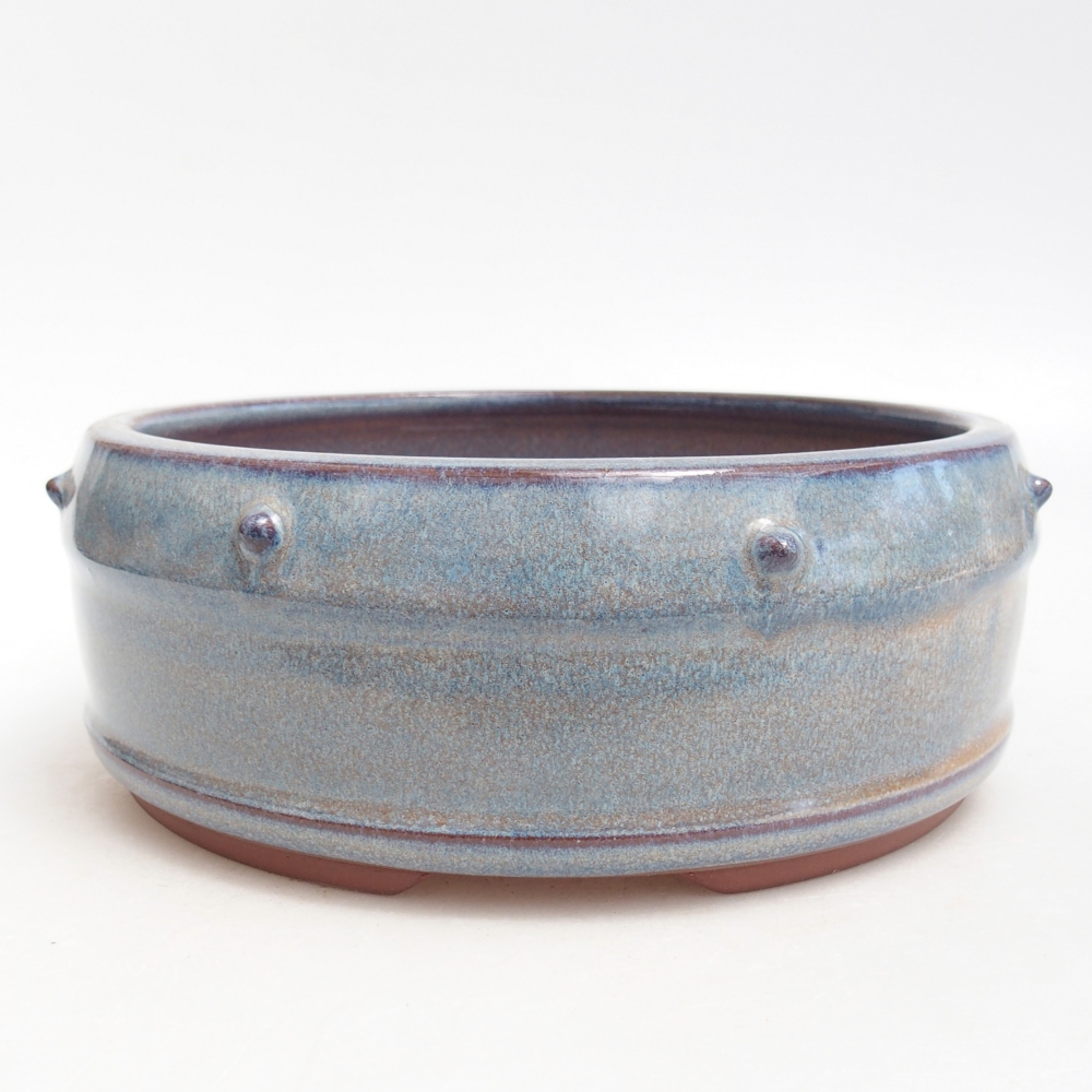 Ciotola bonsai in ceramica 18,5 x 18,5 x 7 cm, colore blu