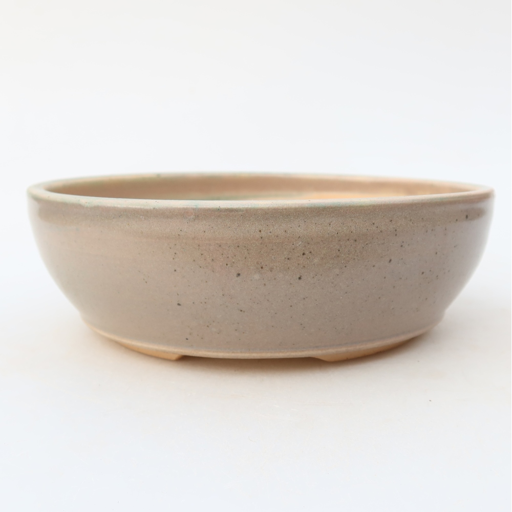 Vaso da bonsai in ceramica 16,5 x 16,5 x 5 cm, colore beige