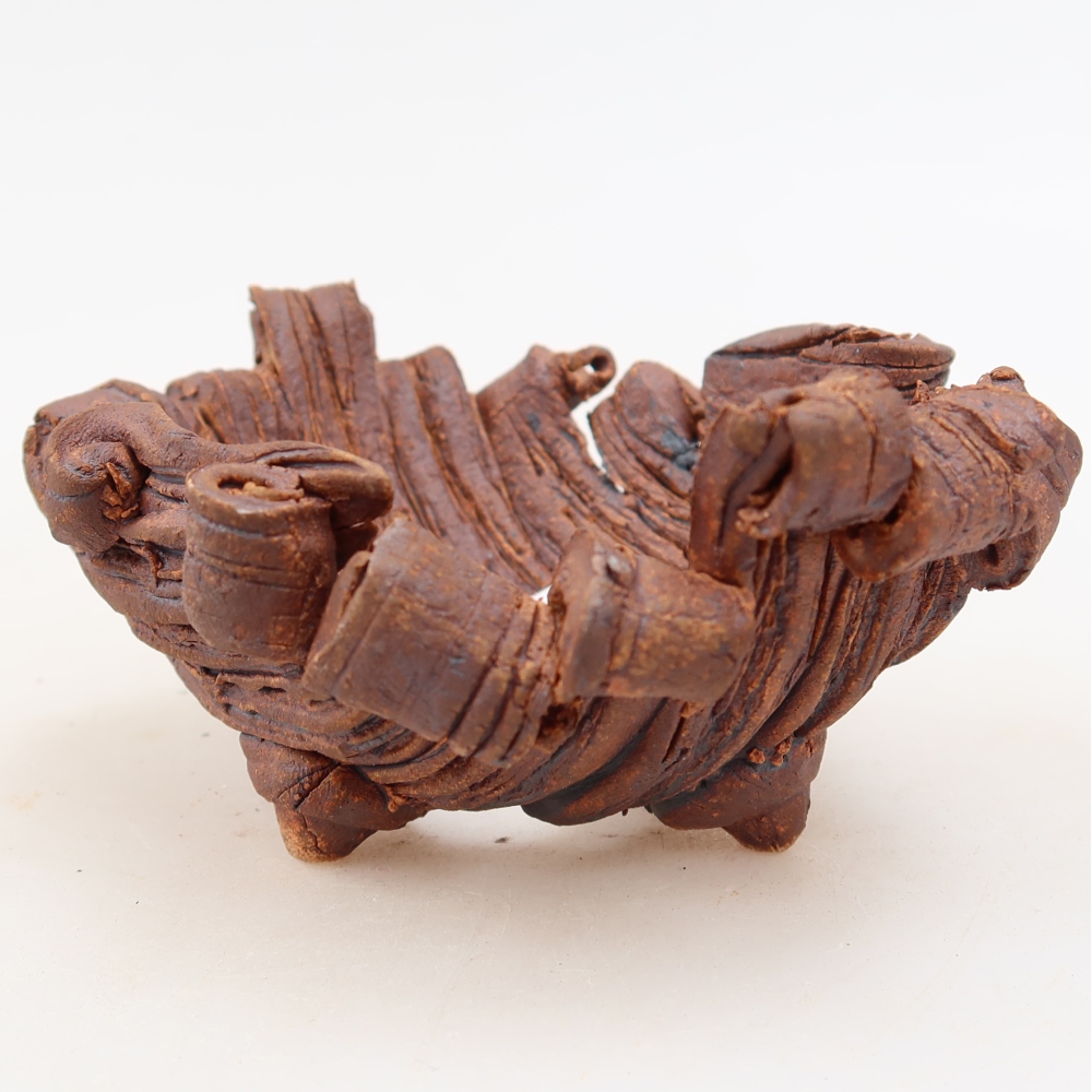 Guscio in ceramica  11 x 8,5 x 5 cm, colore marrone