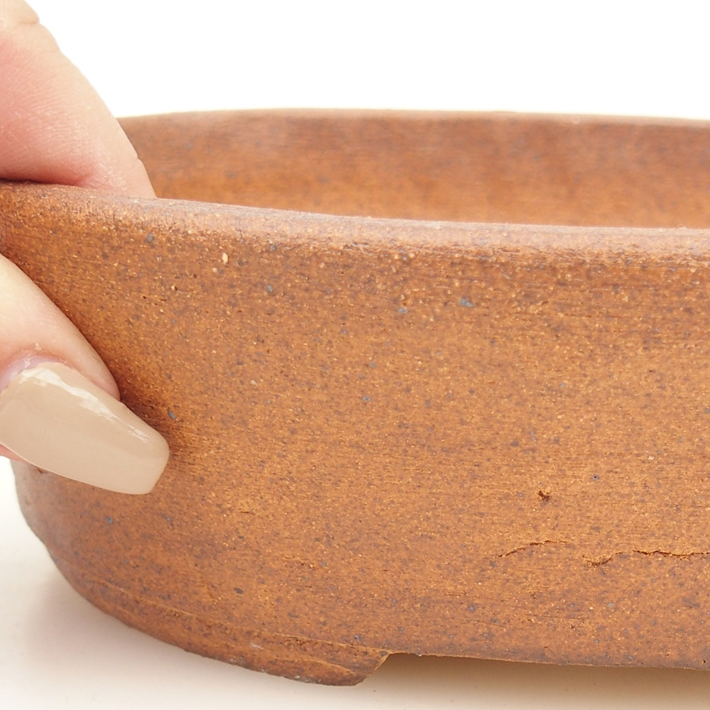 Ciotola per bonsai 20 x 16 x 6 cm , colore marrone