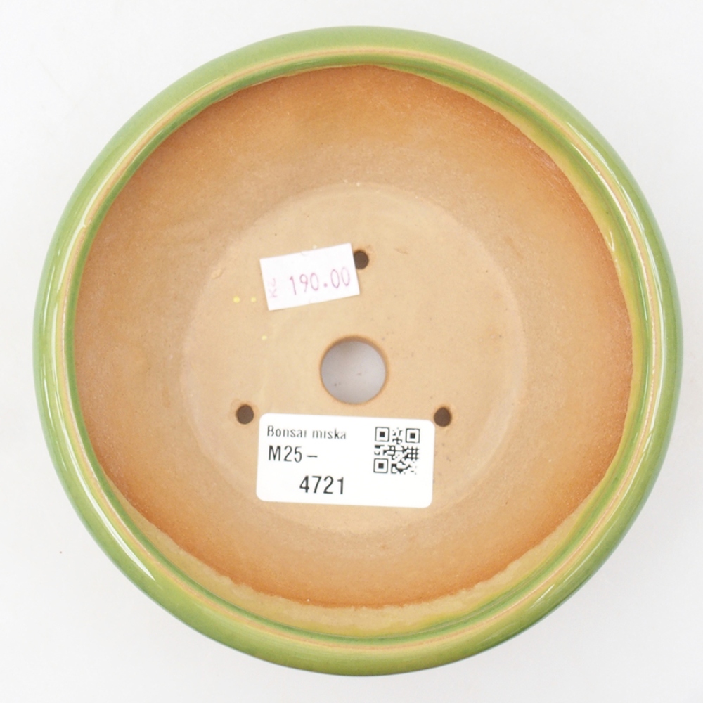 Ciotola bonsai in ceramica 13,5 x 13,5 x 5 cm, verde