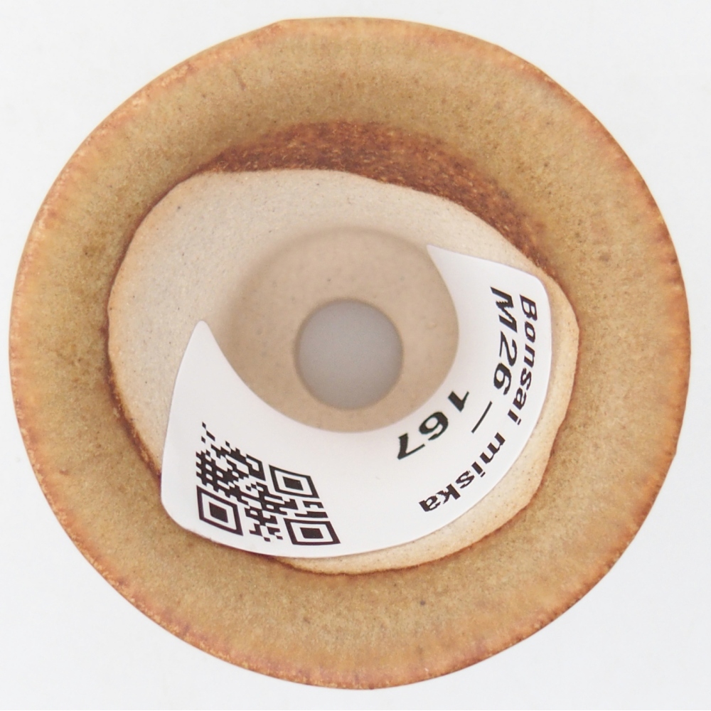 Ciotola per mini bonsai 4,5 x 4,5 x 4 cm, marrone