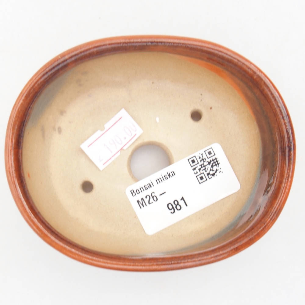 Ciotola per bonsai in ceramica 9 x 7,5 x 3,5 cm, arancione