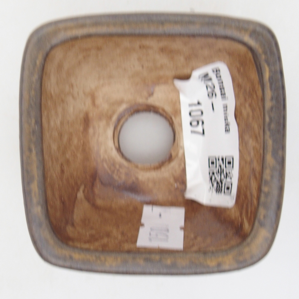 Ciotola per bonsai in ceramica 6 x 6 x 4 cm, marrone