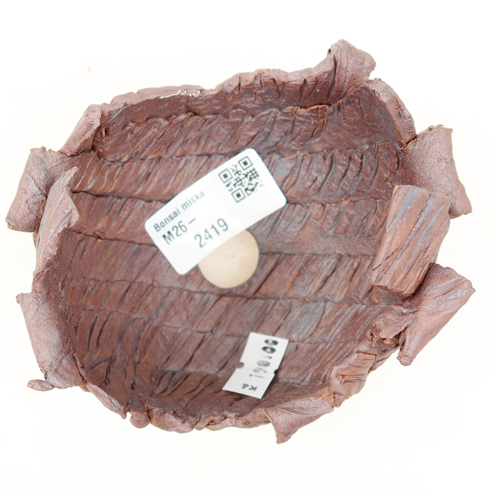 Guscio in ceramica  10,5 x 9,5 x 9 cm, colore marrone