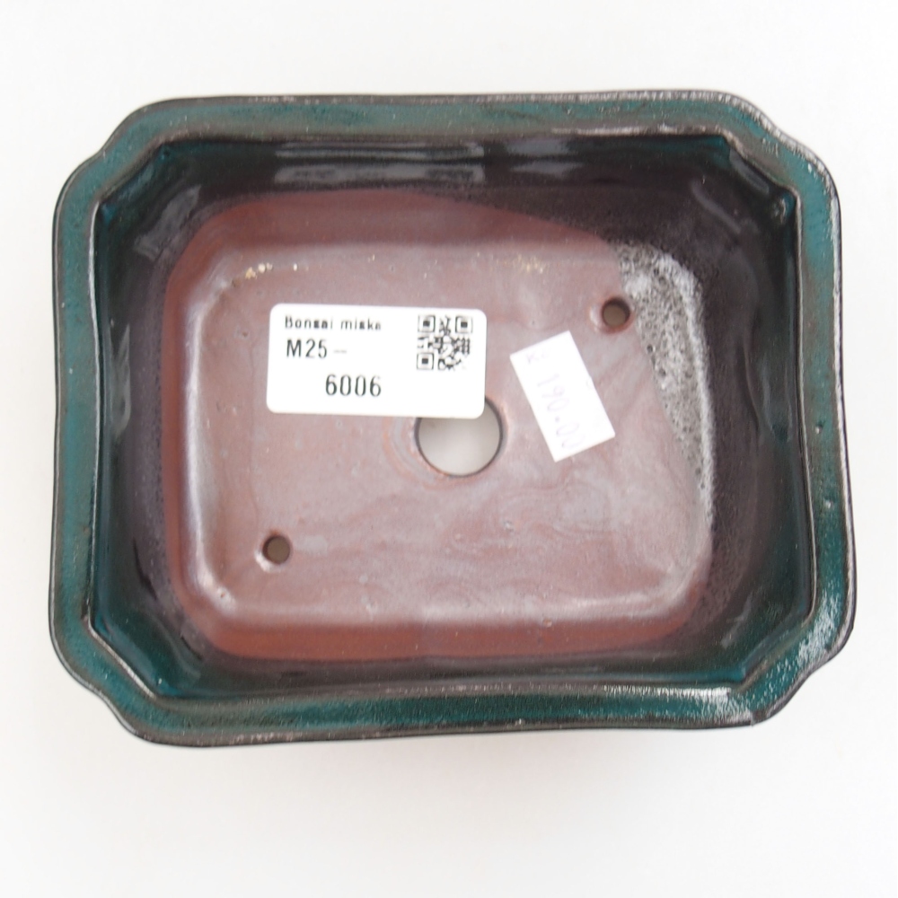 Ciotola bonsai in ceramica 22 x 17 x 5 cm, verde