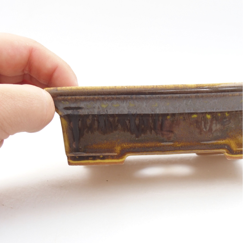 Ciotola bonsai in ceramica 22 x 17 x 5 cm, verde