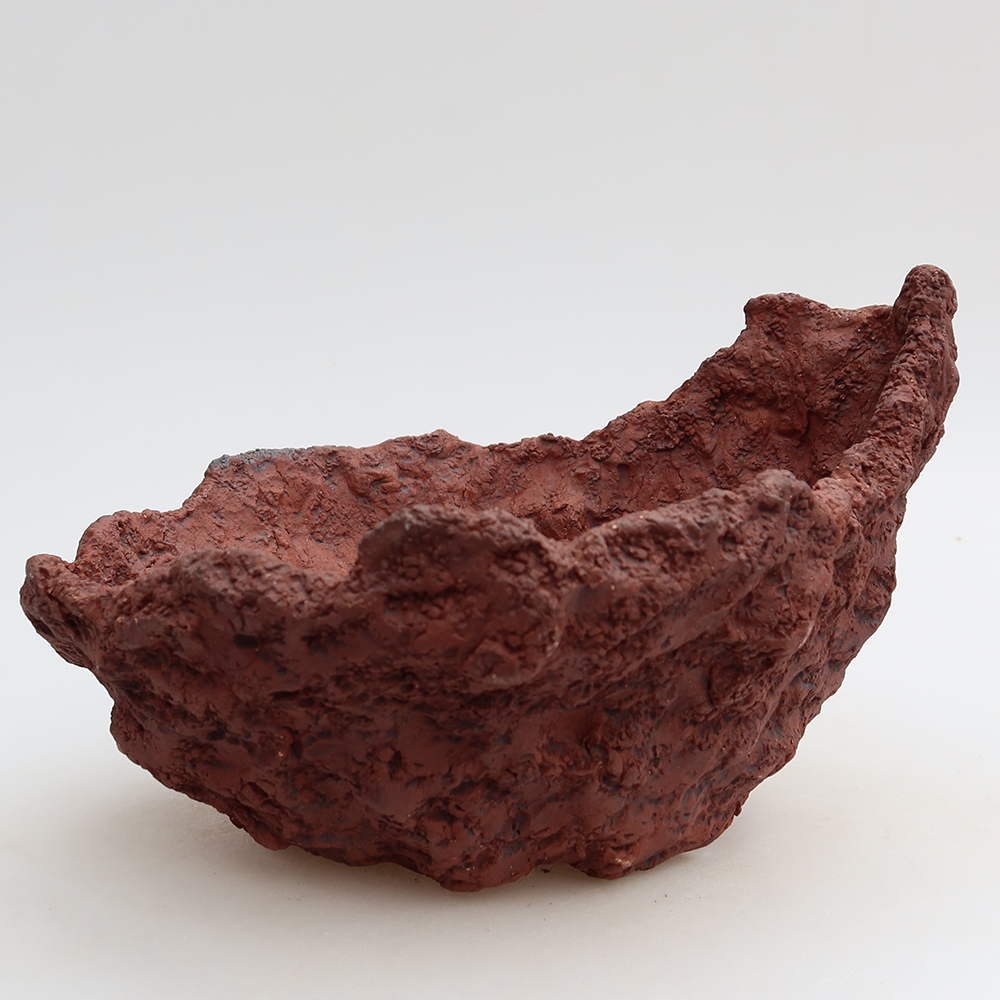 Guscio in ceramica 20 x 17 x 12,5 cm, colore marrone