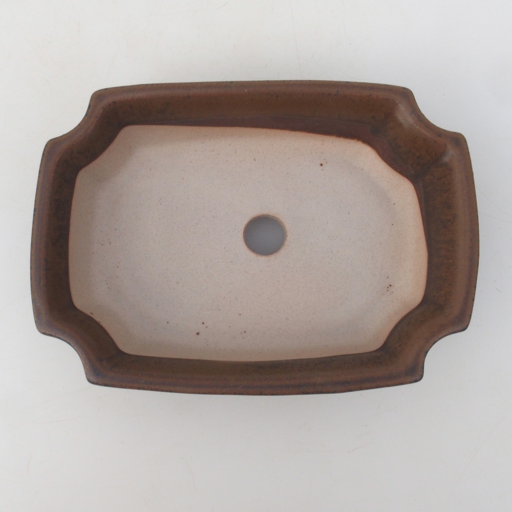 Ciotola per bonsai H03 - 16,5 x 12 x 4,5 cm - marrone