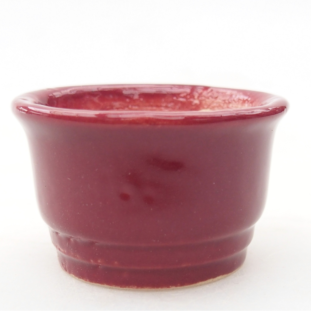Ciotola per mini bonsai 4 x 4 x 2 cm, bordeaux