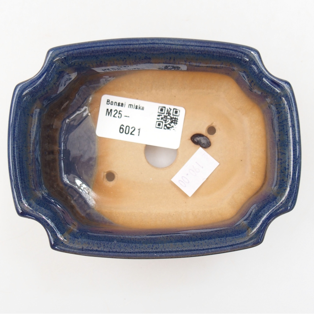 Ciotola bonsai in ceramica 22 x 17 x 5 cm, verde