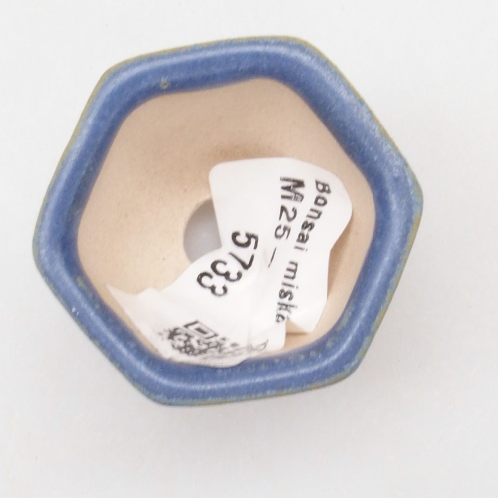 Mini bonsai 4 x 3,5 x 3 cm, colore blu