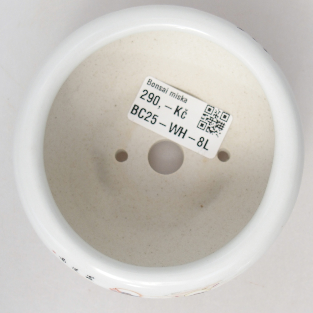 Ciotola per bonsai in ceramica 10 x 10 x 5 cm, colore bianco