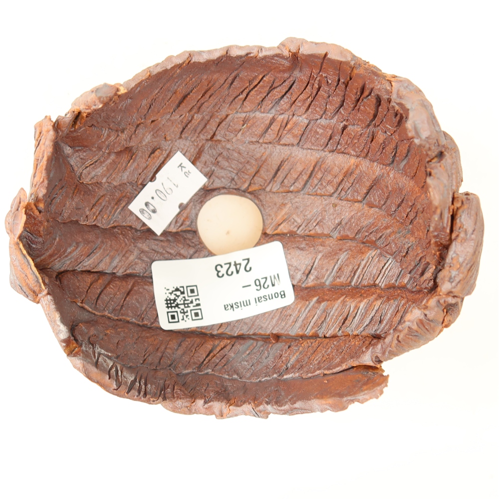 Guscio in ceramica  10,5 x 9,5 x 8,5 cm, colore marrone