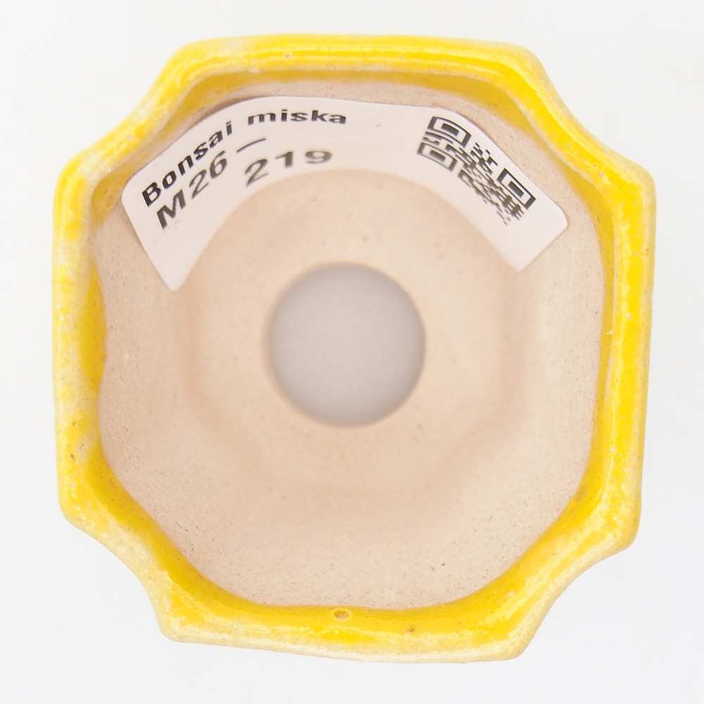 Mini bonsai 4,5 x 4,5 x 4 cm, giallo