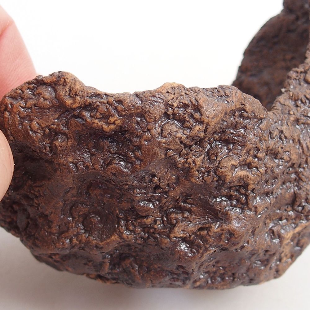 Conchiglia in ceramica 10 x 8 x 9,5 cm , colore marrone