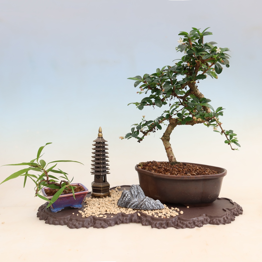 Base in plastica per bonsai 43 x 25 x 1,5 cm, colore marrone