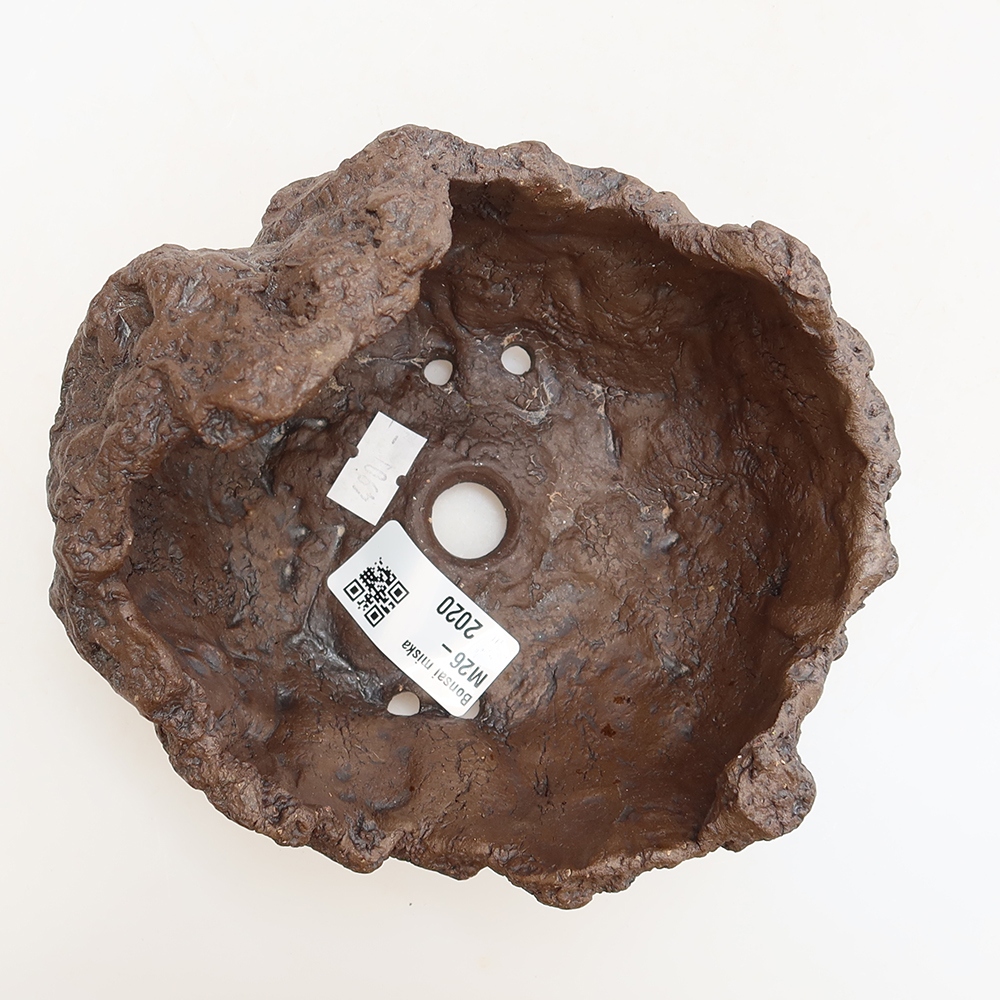 Guscio in ceramica 13,5 x 12 x 13 cm, colore marrone