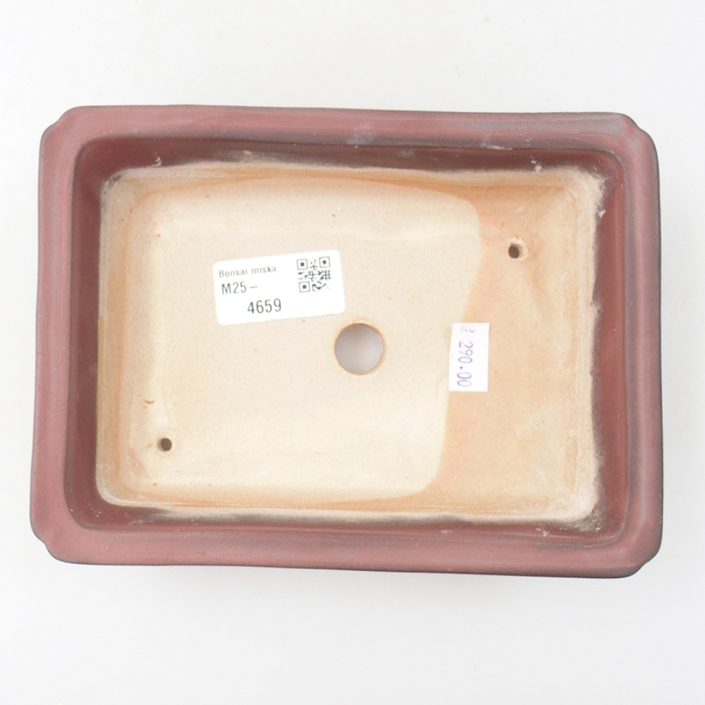 Ciotola bonsai in ceramica 17,5 x 13 x 4 cm, rosa