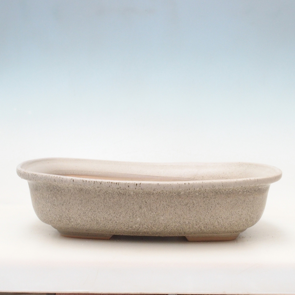 Ciotola bonsai + piattino H10 - 37 x 28 x 9 cm - beige
