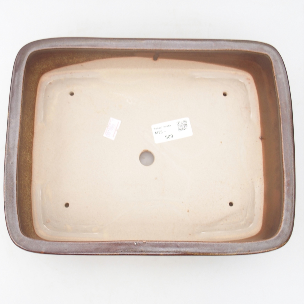 Ciotola per bonsai in ceramica 26,5 x 20 x 6,5 cm, marrone