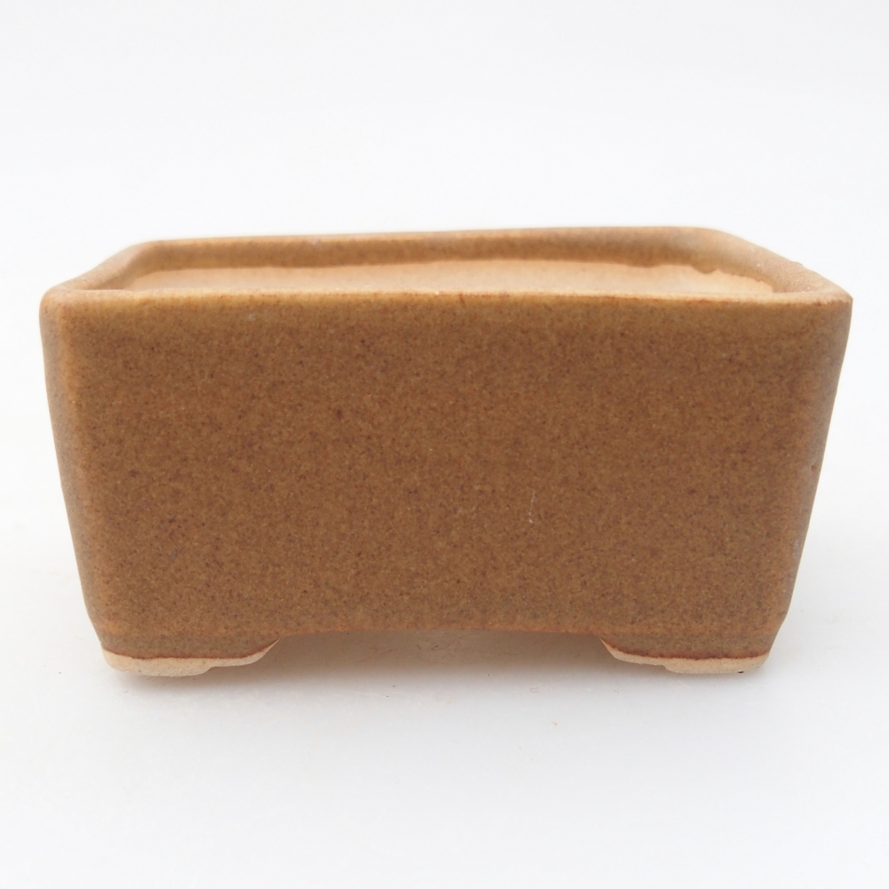 Ciotola per mini bonsai 7 x 5 x 3,5 cm, marrone