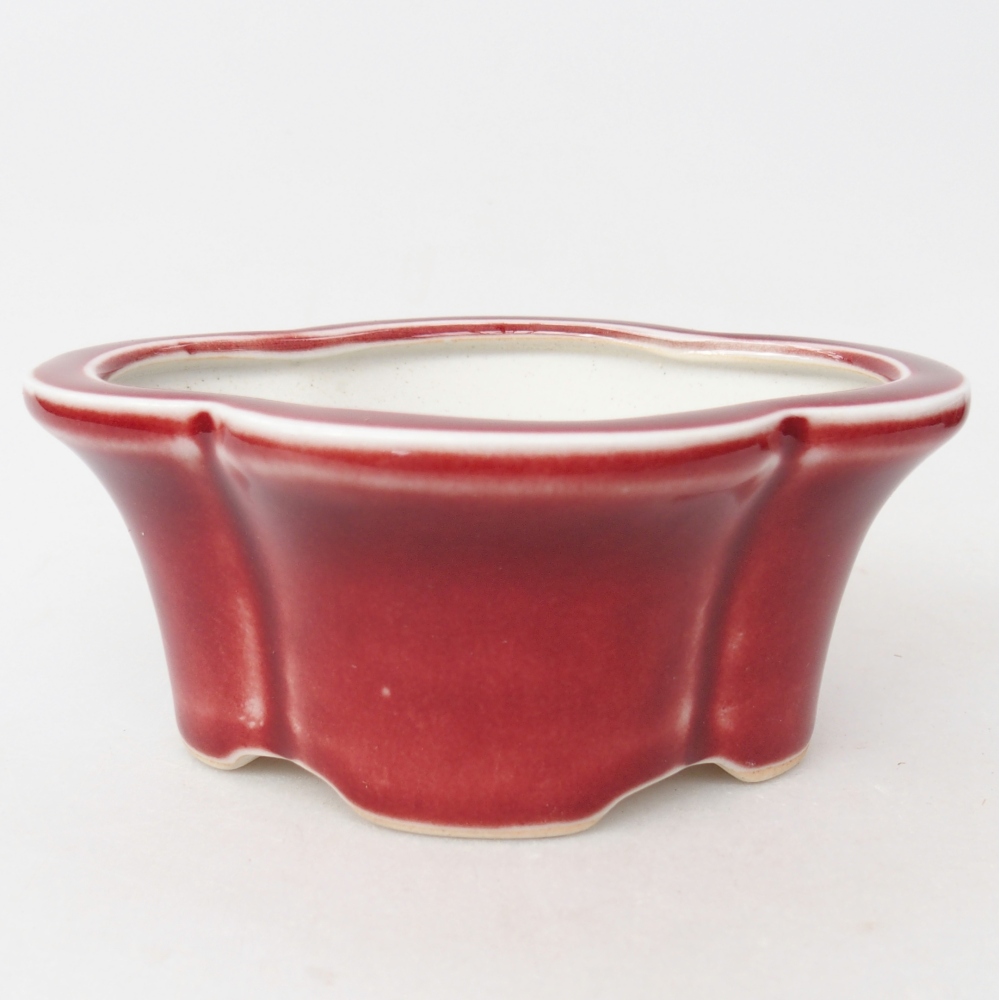 Ciotola per bonsai in ceramica 12,5 x 10 x 5,5 cm, colore rosso