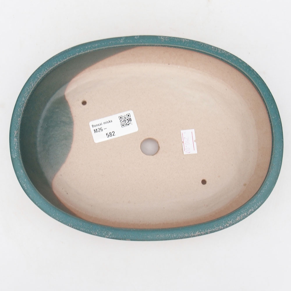 Ciotola bonsai in ceramica 22 x 17 x 4 cm, colore blu