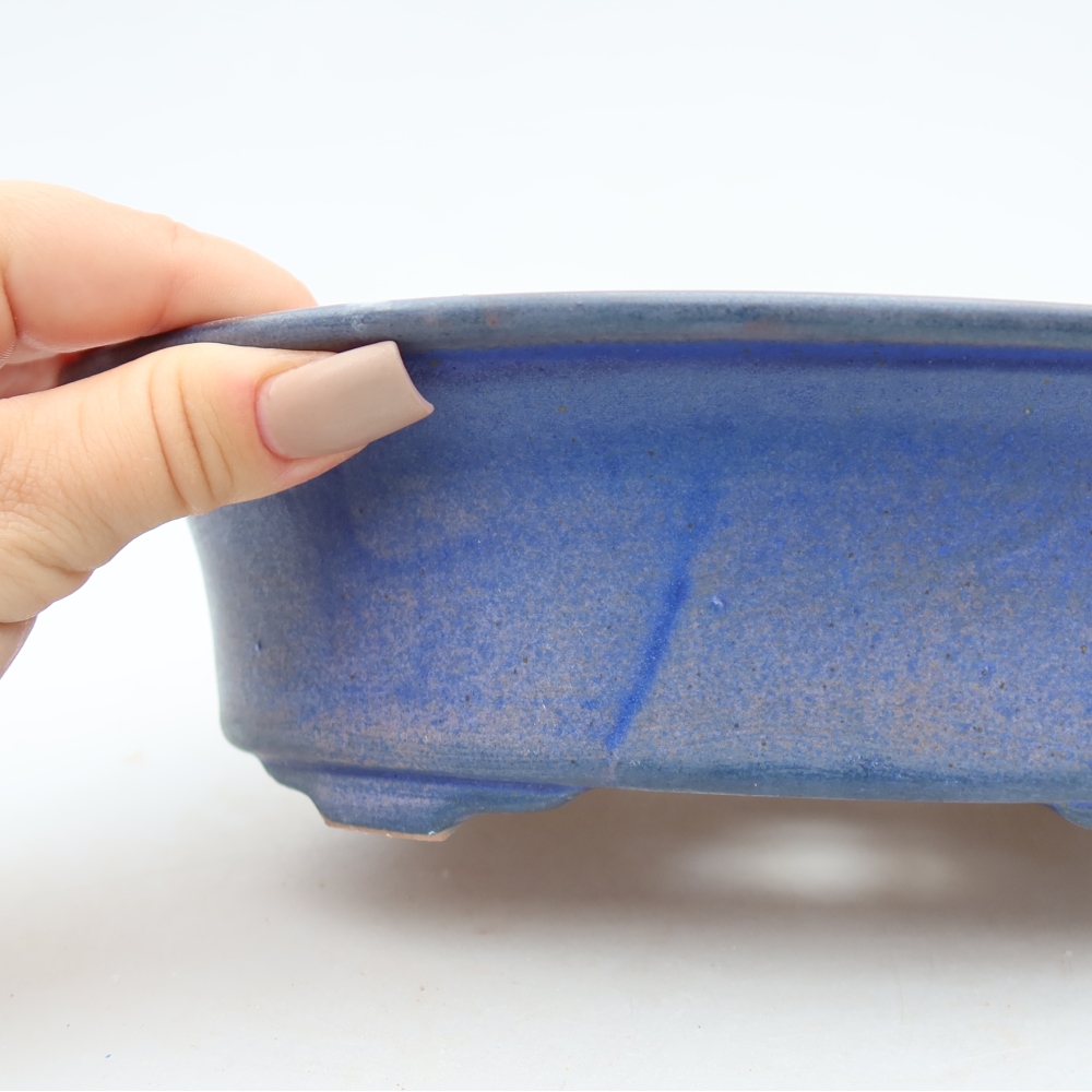 Vaso da bonsai in ceramica 22,5 x 17,5 x 6,5 cm, colore blu
