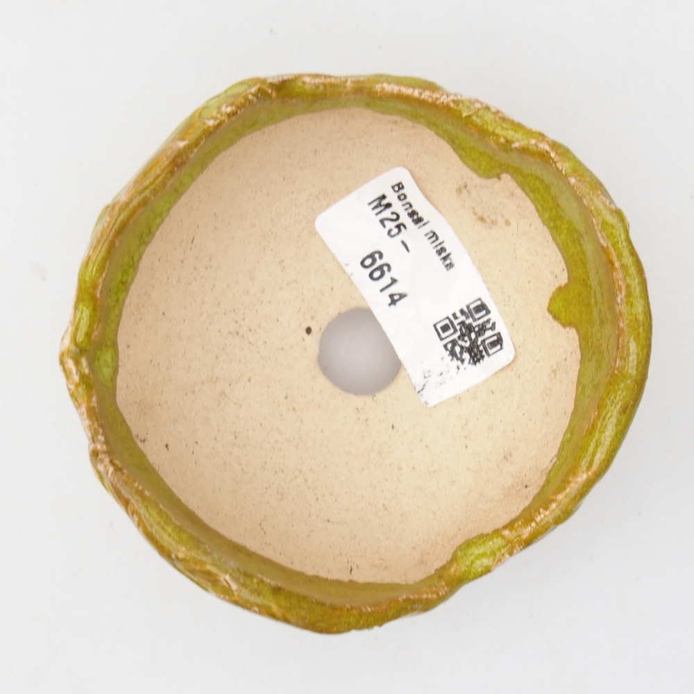 Conchiglia in ceramica 9 x 8,5 x 5,5 cm , colore verde