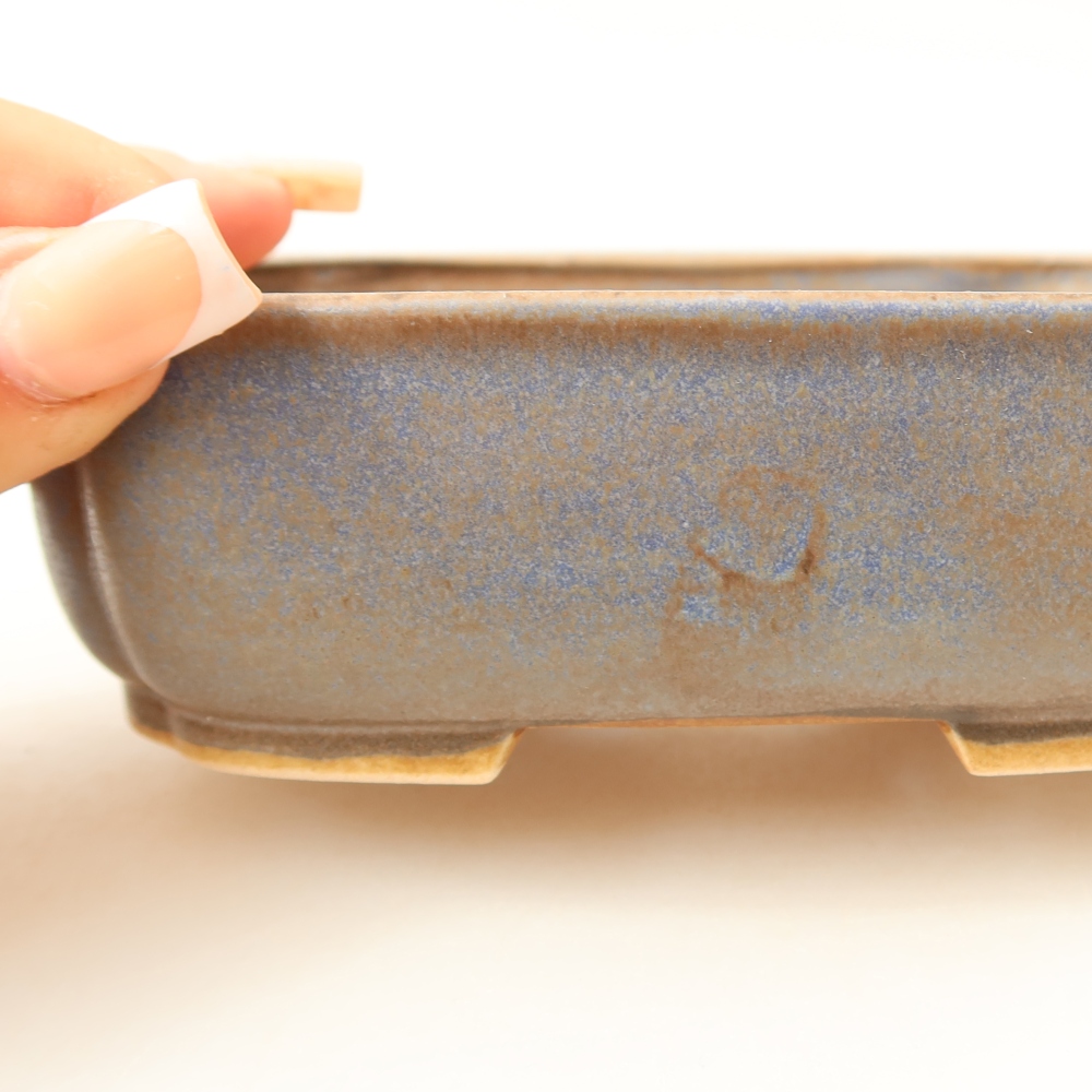 Vaso da bonsai in ceramica 14 x 12 x 4 cm, colore blu