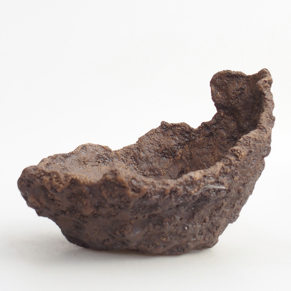 Conchiglia in ceramica 19 x 16 x 16 cm , colore marrone