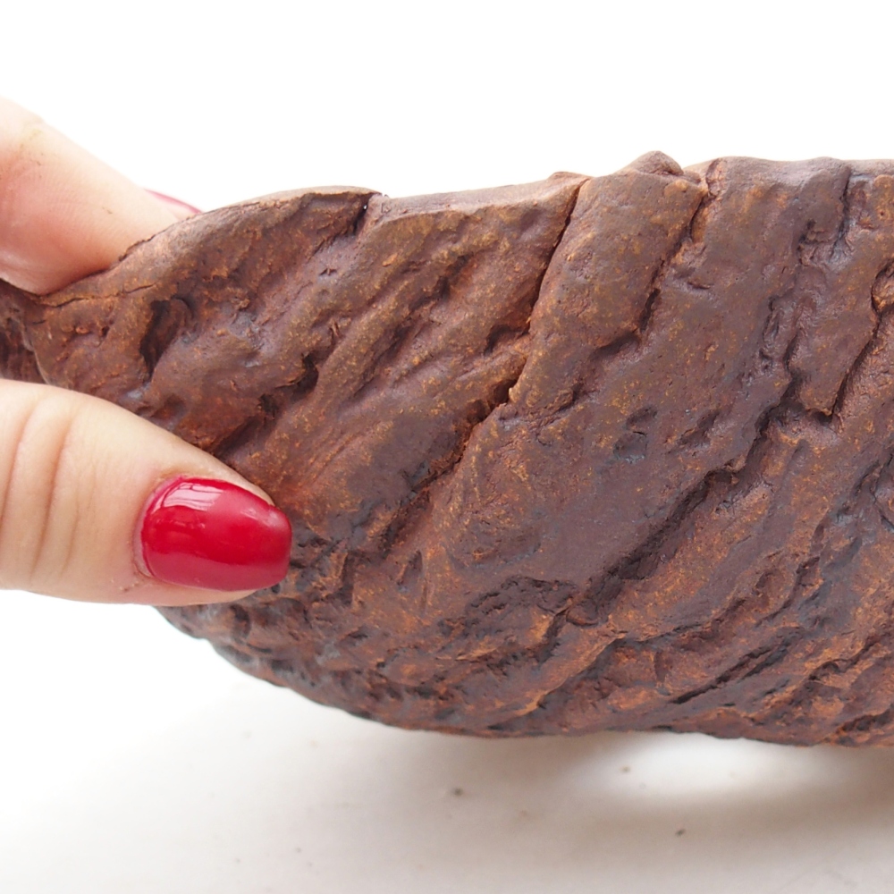 Conchiglia in ceramica 18,5 x 18,5 x 8 cm , colore marrone