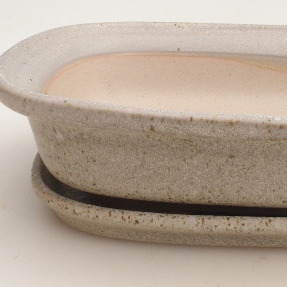 Ciotola bonsai + piattino H25 - 23 x 17 x 5,5 cm - beige