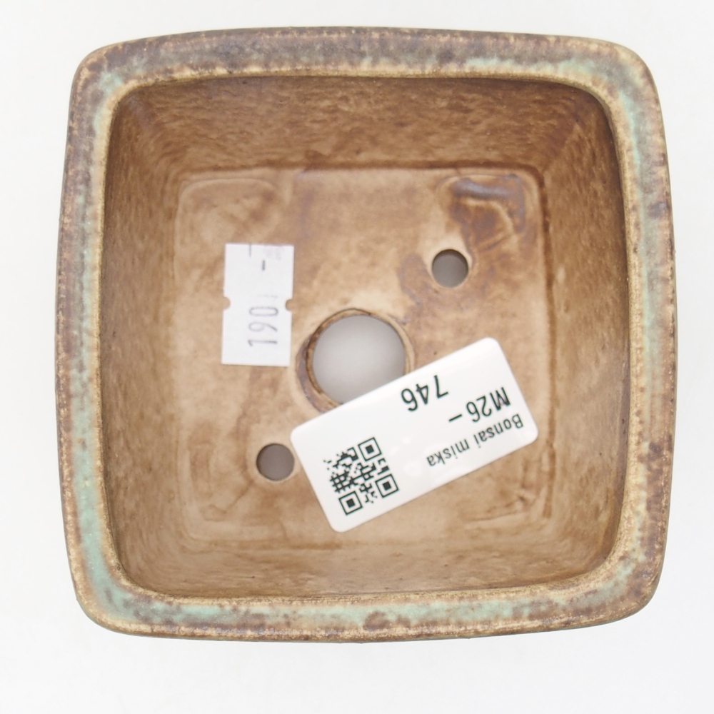 Ciotola bonsai in ceramica 8,5 x 8,5 x 5,5 cm, verde