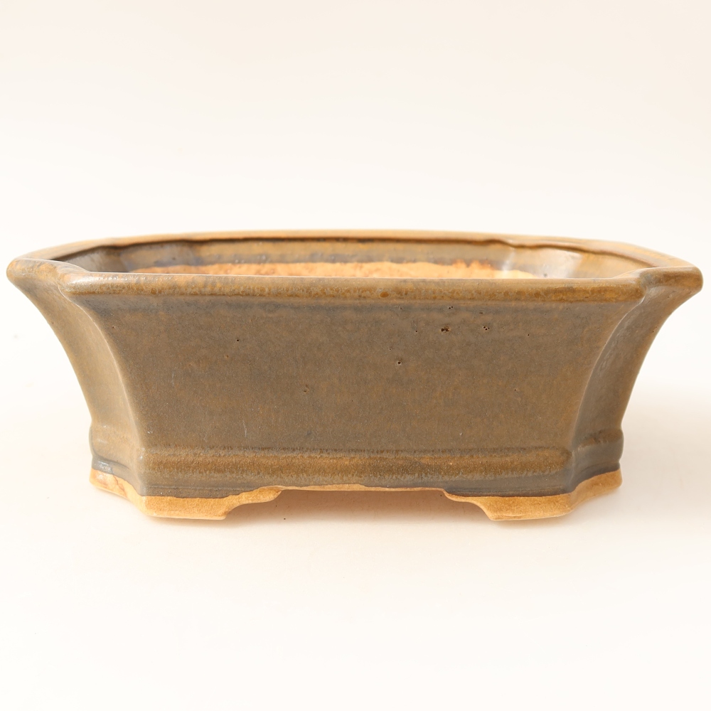 Vaso da bonsai in ceramica 18 x 15,5 x 6 cm, colore marrone