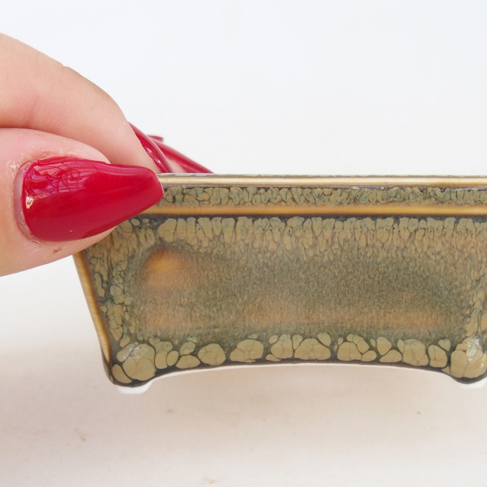 Mini bonsai 7,5 x 6 x 3 cm, verde