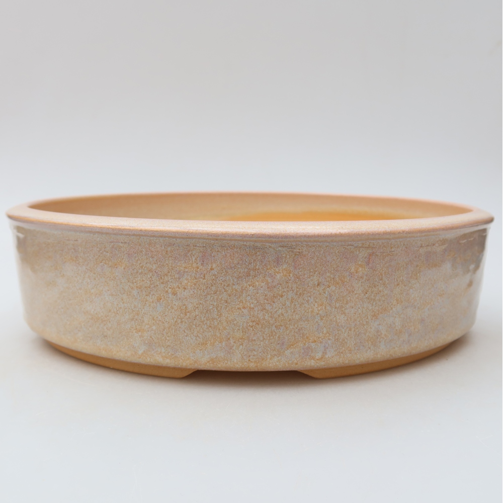 Vaso per bonsai in ceramica 26,5 x 26,5 x 6,5 cm, colore beige