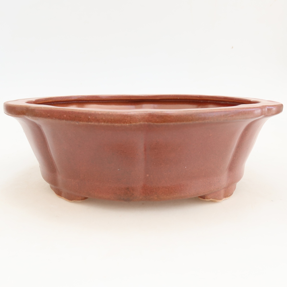 Ciotola bonsai in ceramica 26 x 26 x 8 cm, bordeaux