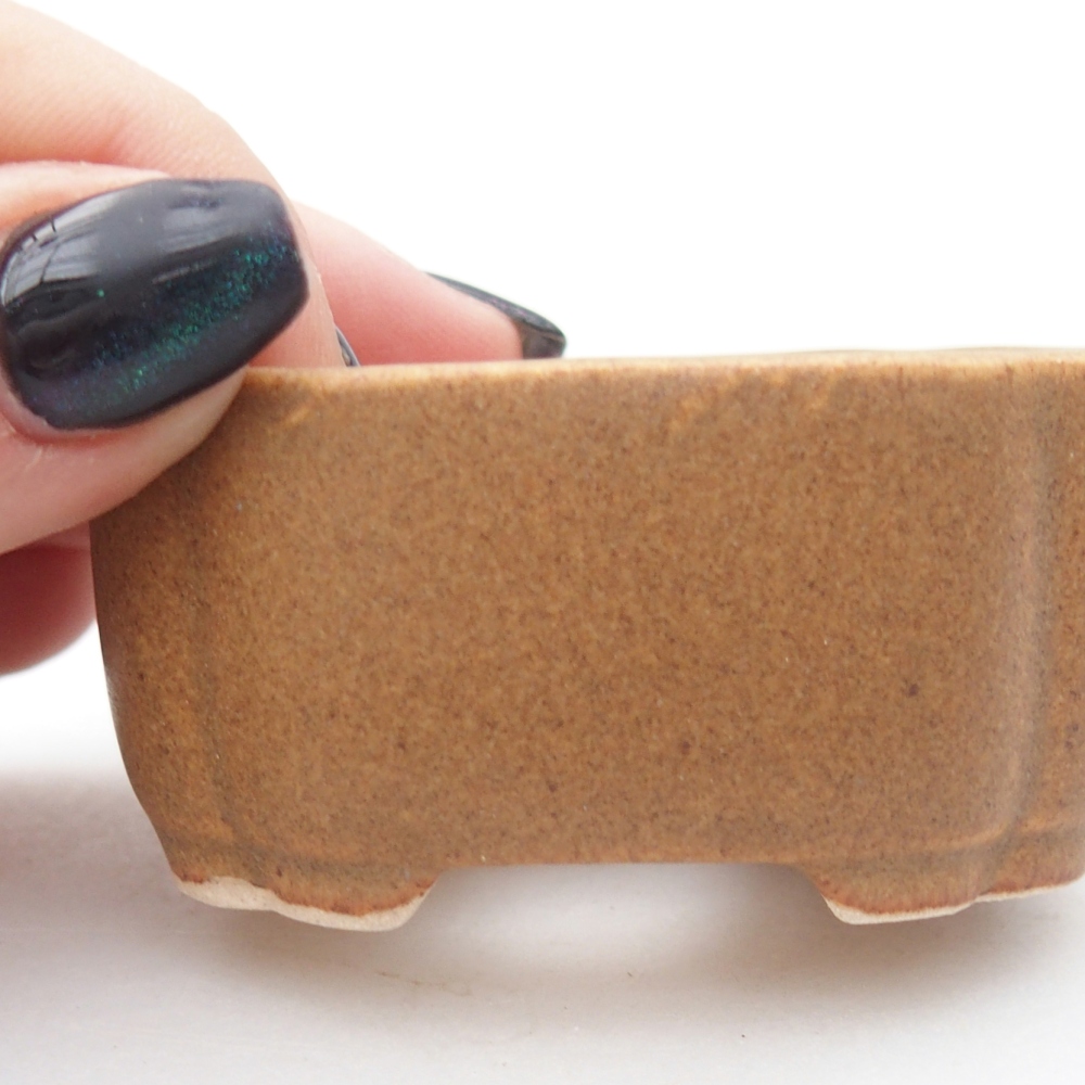 Ciotola per mini bonsai 6 x 5 x 3 cm, marrone