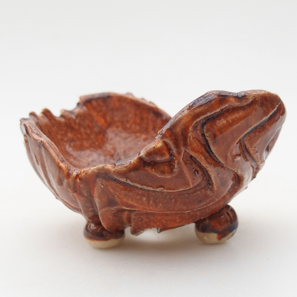 Guscio in ceramica 8 x 9,5 x 5 cm , colore arancione